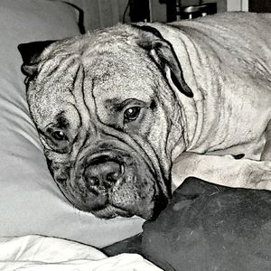 Meet your Posher, Rachael